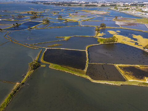 Aerial view of the salt pans in Aveiro, featuring interconnected water basins, grassy embankments, and reflective surfaces in Aveiro, Aveiro District, Portugal.