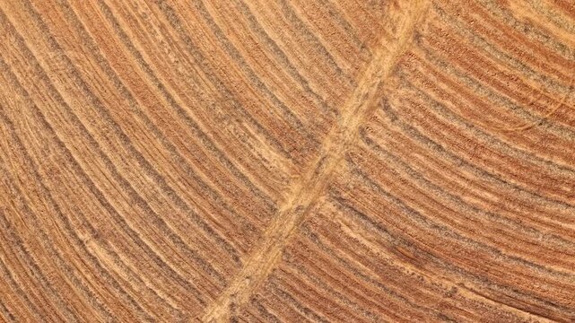Aerial view of plowed agricultural fields and farmland in a sunny day