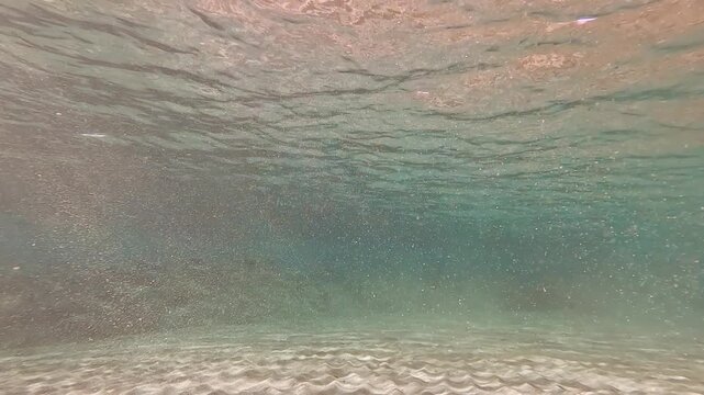 Sun reflecting on plankton and sand in a shallow sea water near beach, 2x slow motion underwater video