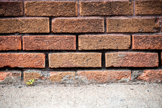 close-up of a weathered red brick wall meeting a concrete ground surface. repointing concepts or abstract texture background 