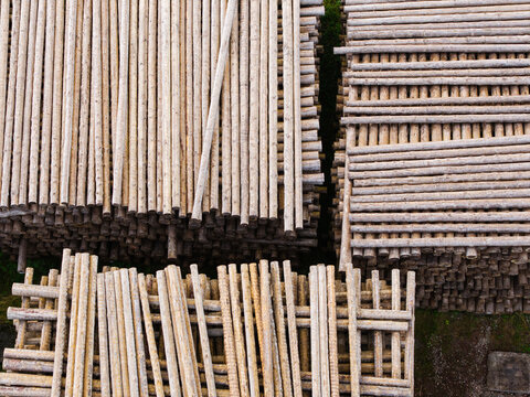Aerial view of stacked timber logs in a lumber yard, showing texture and patterns of wood piles in Brankas, Jelgava Municipality, Latvia.