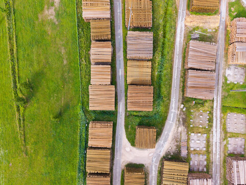 Aerial view of neatly stacked timber logs in a forestry area, surrounded by green grass and narrow access roads in Latvia.