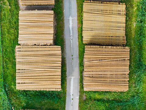 Aerial view of stacked timber logs arranged in neat piles along a narrow road in Jelgava Municipality, Latvia.