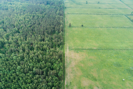Aerial view of the border between Latvia and Lithuania, showing a sharp contrast between dense forest and open meadow in Nida, South Kurzeme Municip, Latvia.