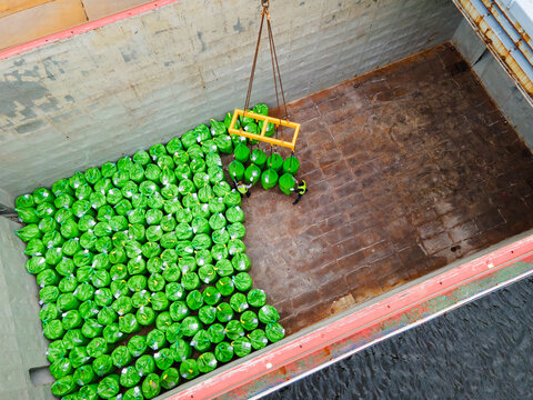 Riga, Latvia - 12 October 2023: Aerial view of workers loading green bags of mineral fertilizers into the cargo hold of a ship for export.