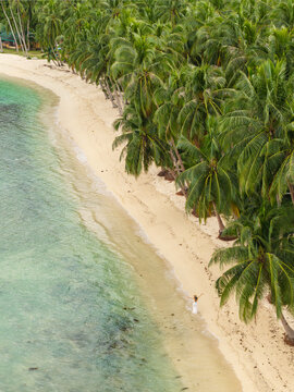 Aerial view of a woman walking along the sandy shore of White Beach in Port Barton, lined with lush palm trees and turquoise water in San Vicente, Mimaropa, Philippines.