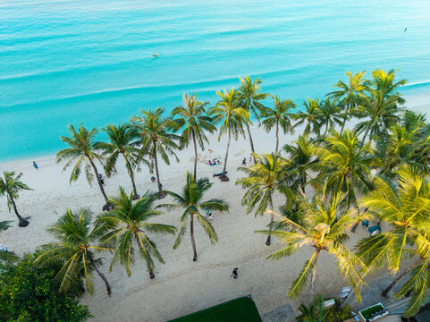 Malay, Western Visayas, Philippines - 28 November 2025: Aerial view of Boracay beach with lush palm trees, white sand, and turquoise water, featuring people relaxing on the shore.