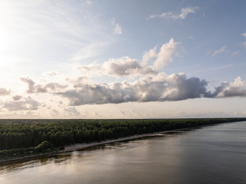 Aerial view of a dense pine forest bordering a sandy coastline along the calm sea under a sky with scattered clouds in Melnsils, Talsi Municipality, Latvia.