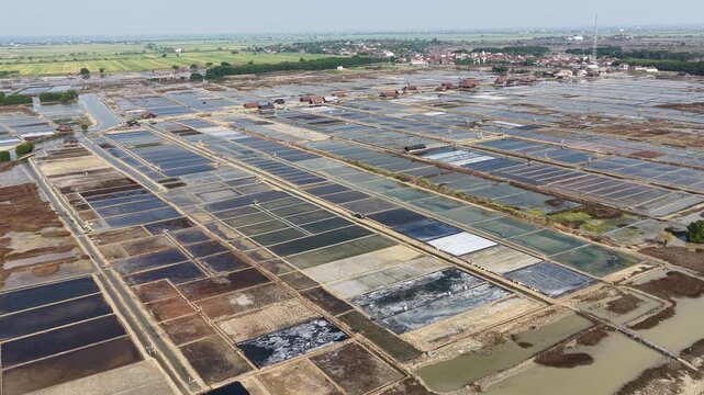 Aerial view of salt pans and aquaculture ponds with rectangular pools and small structures in a coastal landscape in Jepara, Central Java, Indonesia.
