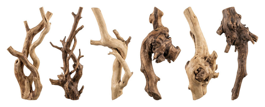 Set of six unique weathered driftwood pieces with gnarled textures and organic shapes, presented as a collection for rustic decoration or aquascaping with natural tones