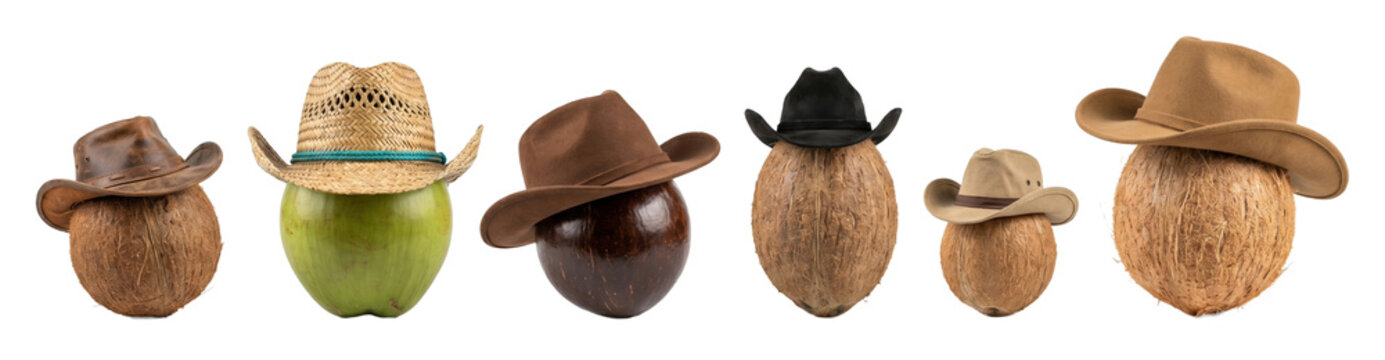 Row of six different coconuts wearing a variety of stylish cowboy hats in a funny and creative concept showing individuality and character in a horizontal panoramic view