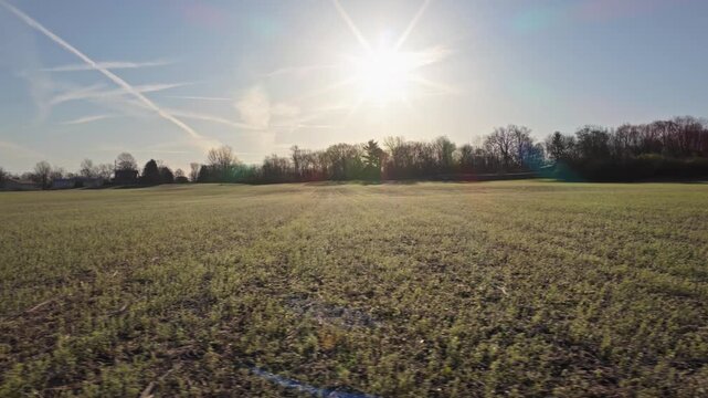 Late winter to early spring landscape drone aerial moving through rural Ohio farm field in country area outside city with fields of no plants, leaves, and dead trees with green yellow grass 4k