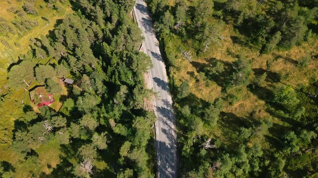 Aerial view of a winding road passing through the dense green forests and rugged landscape of Utvik, Vestland, Norway.