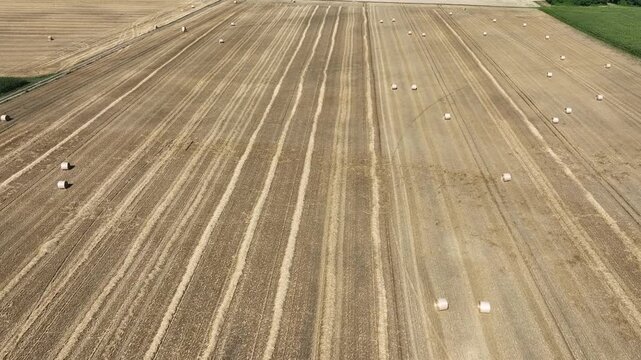Aerial view of harvested wheat field with scattered hay bales and linear patterns from harvesting machinery in Hombourg, Grand Est, France.