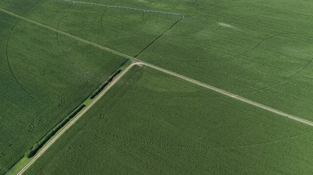 Aerial view of lush green agricultural fields with circular irrigation patterns and dirt paths in Hombourg, Grand Est, France.