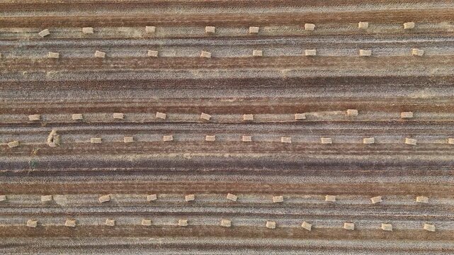 Aerial view of rows of hay bales scattered across a harvested agricultural field in Jazak, Vojvodina, Serbia.