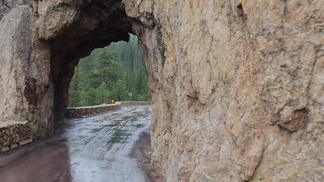 Black hills of South Dakota providing scenic driving on winding roads surrounded by Ponderosa Pines in July during the rain.