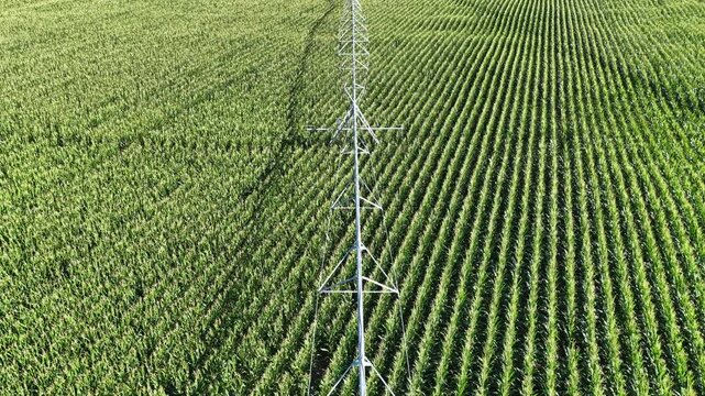 Aerial view of a center pivot irrigation system watering a lush green corn field in Hombourg, Grand Est, France.