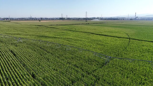 Aerial view of a large green crop field with a center pivot irrigation system in Hombourg, Grand Est, France.