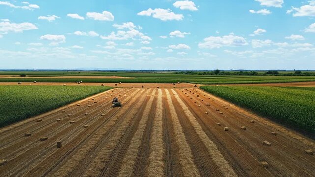 Aerial view of a tractor baling hay in a large field with rows of hay bales and surrounding green agricultural crops under a blue sky in Jazak, Vojvodina, Serbia.