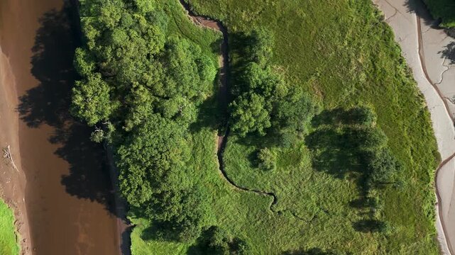 Aerial view of River Fowey winding through lush green meadows and trees in Lostwithiel, England, United Kingdom.