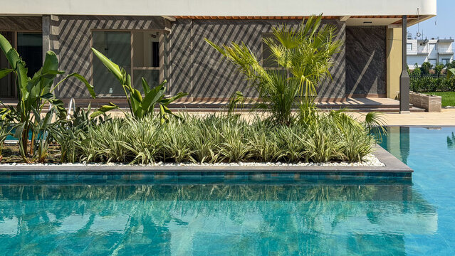 Modern luxury residential swimming pool with tropical landscaping and contemporary apartment building. Resort-style outdoor amenities with turquoise water and lush green plants in a premium residentia