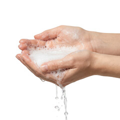 Fototapeta premium Hands cupped together with soap lather and water dripping isolated on transparent background