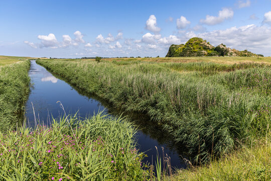View of the Dijk van een wijf mound rising above a canal lined with tall reeds and wildflowers in the rural landscape of Oosterbierum, Friesland, Netherlands.