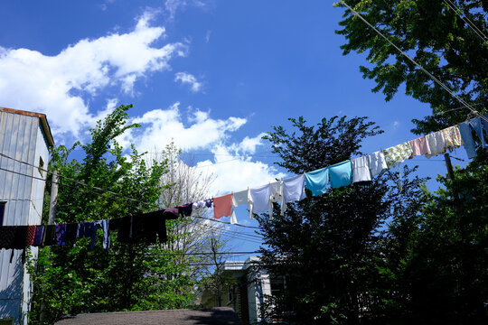 corde &agrave; linges en &eacute;t&eacute;
