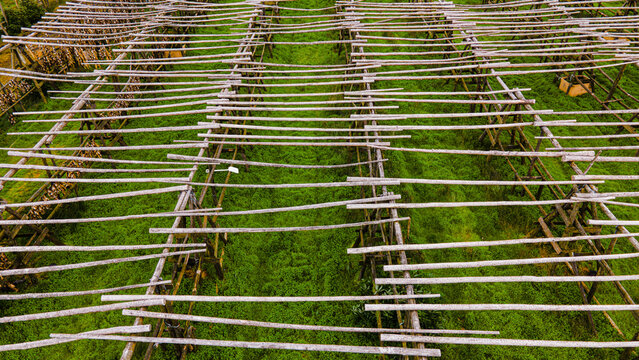 Aerial view of fish drying facility with wooden racks over green grass in Hafnarfjordur, Hafnarfjardarkaupstadh, Iceland.