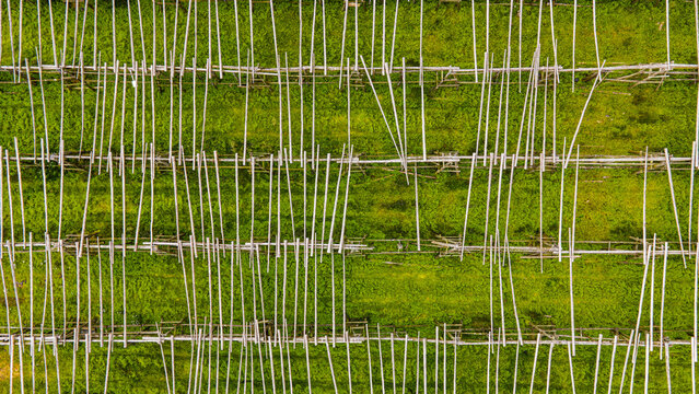 Aerial view of a fish drying facility with wooden racks arranged in rows over a green field in Hafnarfjordur, Hafnarfjardarkaupstad, Iceland.