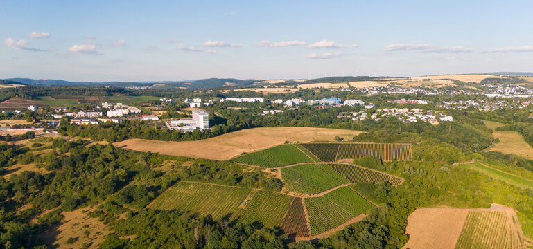 Aerial view of vineyards in the Moselle valley with the city of Trier in the background under a clear summer sky, Trier, Rhineland Palatinate, Germany.
