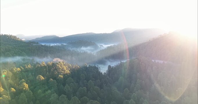 Aerial view of the forested valley of Corral de Piedra with morning mist and sunlight filtering through the trees in Corral de Piedra, Estado de Mexico, Mexico.
