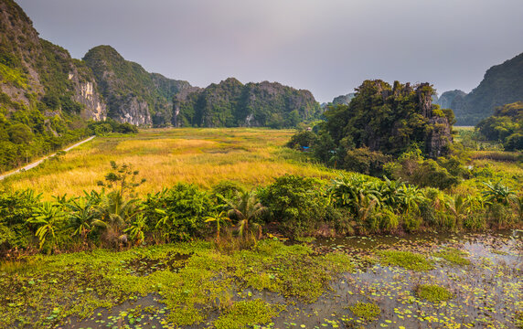 Aerial view of the limestone karst landscape of Tam Coc - Bich Dong with lush green vegetation, a lotus pond in the foreground, and a winding path in Nam Hoa Lu, Ninh Binh, Vietnam.
