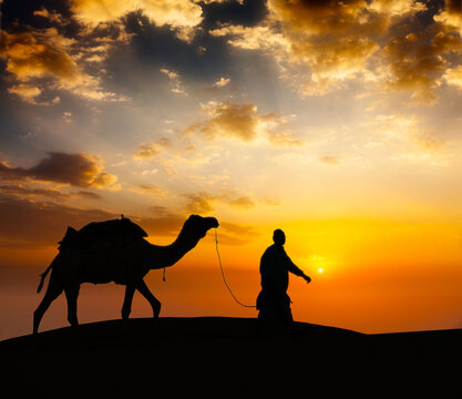 Rajasthan travel background - indian cameleer camel driver with camel silhouette in dunes of Thar desert on sunset in Jaisalmer, Rajasthan, India
