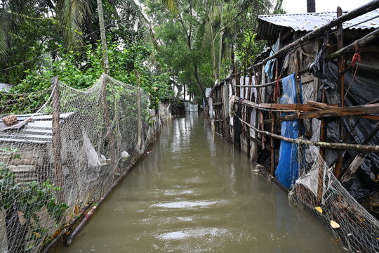 Banshkhali Upazila, Chittagong Division, Bangladesh - 11 July 2026: View of a flooded path lined with makeshift wooden fences and fishing nets in a rural area.