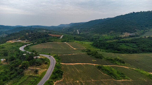 Aerial view of the winding road through the lush green agricultural fields and hills of Pokrom in Aburi, Eastern Region, Ghana.