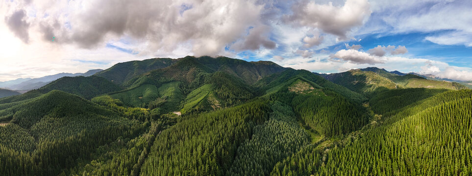 Aerial view of the lush coniferous forests and rugged mountain slopes surrounding Hanmer Springs, Canterbury Region, New Zealand.