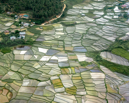 Aerial view of the lush green rice paddies of Paro Valley with water-filled terraces, surrounding hills, and traditional houses in Paro, Paro, Bhutan.