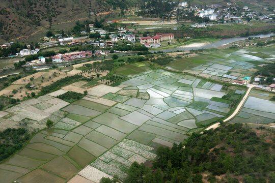 Aerial view of the lush green rice paddies and terraced fields in the Paro Valley with the Paro River flowing through the town of Paro, Paro, Bhutan.