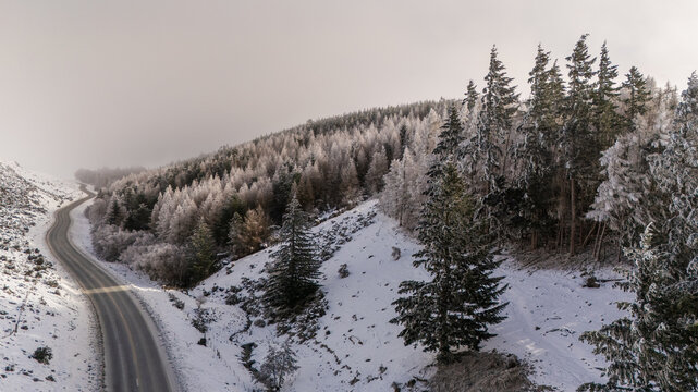 Aerial view of a winding road cutting through a frost-covered pine forest in the snowy landscape of the Canterbury Region, New Zealand.