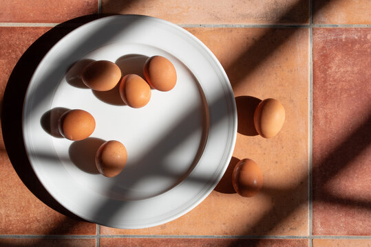 Fresh brown eggs are lying on a white plate. The plate is photographed from above. The eggs are in the kitchen on a tiled surface.