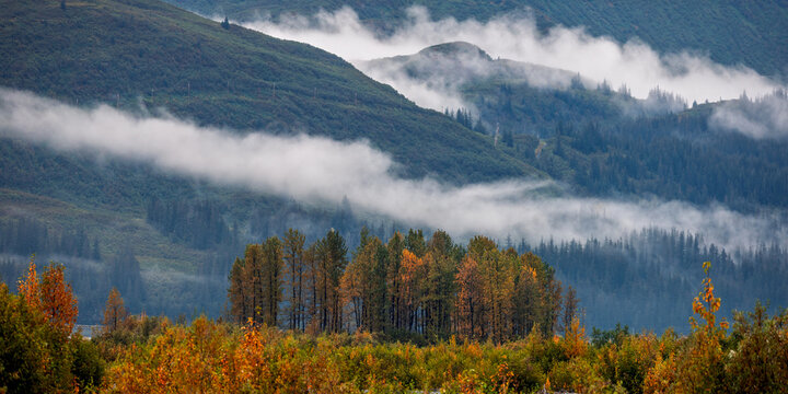 View of a forest with autumn foliage and evergreen trees nestled against misty mountains in Valdez, Alaska, United States.