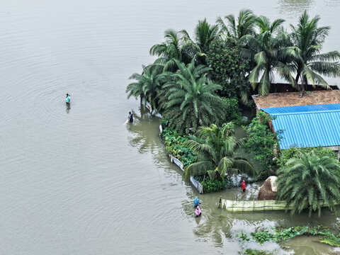 Banshkhali Upazila, Chittagong, Bangladesh - 10 July 2026: Aerial view of floodwaters surrounding a house with palm trees and people wading through the water.