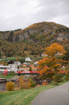 Norwegian village nestled in autumn foliage with a vibrant red bridge
