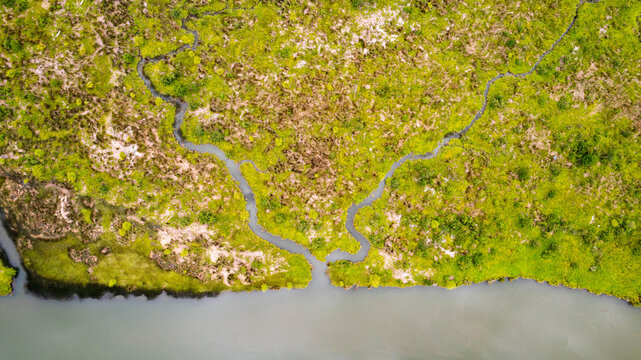 Aerial view of a winding river flowing through a lush green landscape with dense vegetation and wetlands in Puerto Aysen, Aysen, Chile.