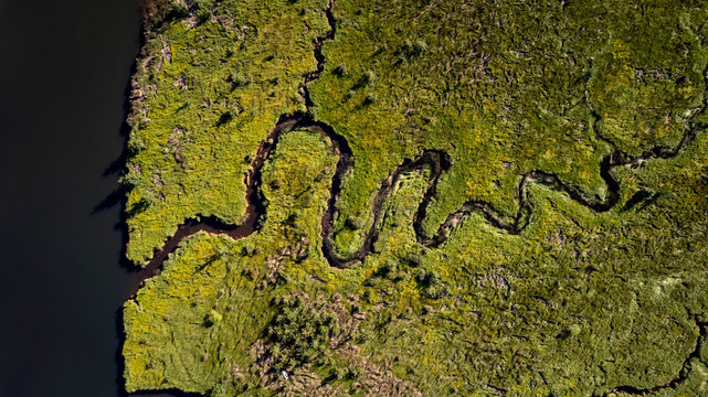 Aerial view of a winding river flowing through a lush green landscape with dense vegetation and natural textures in Puerto Aysen, Aysen, Chile.