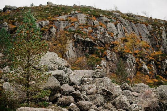 Norwegian rocky mountain landscape with pine tree and autumn foliage