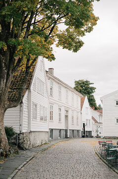 Charming white wooden houses line a cobblestone street in Norway