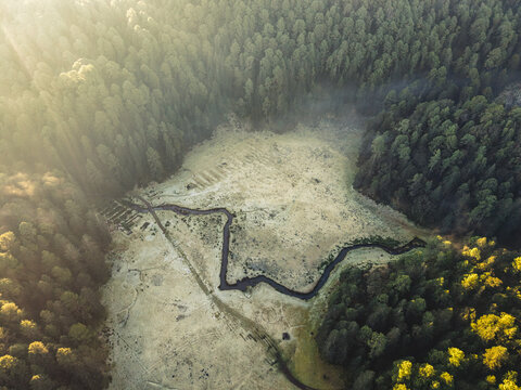 Aerial view of a winding stream flowing through a meadow surrounded by a dense pine forest during the golden hour, Corral de Piedra, Estado de Mexico, Mexico.